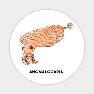 Anomalocaris Magnet